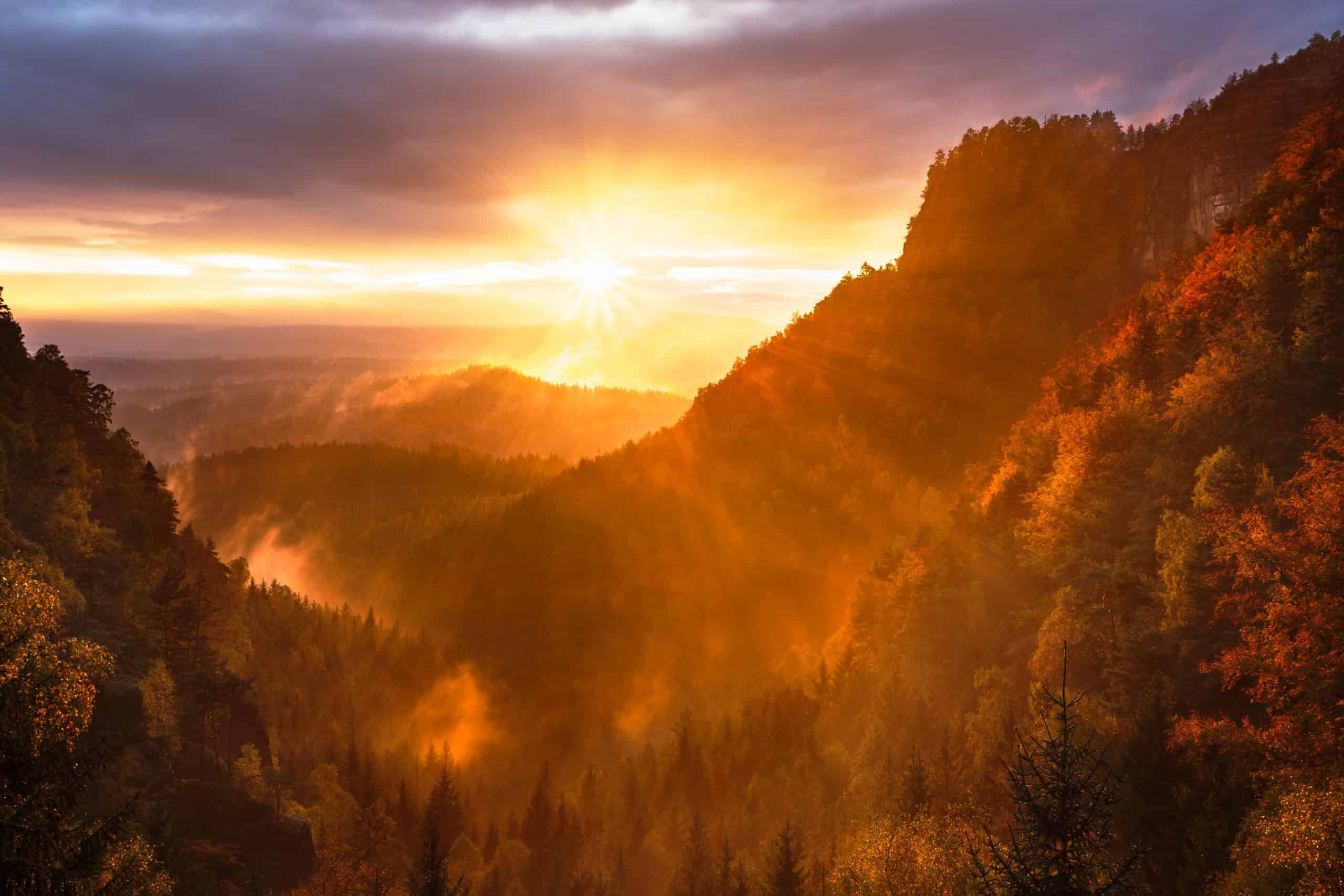 Mountain and trees at golden hour